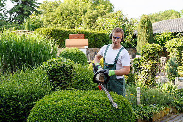 Victor, ID Tree Services Company